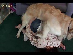 Porno Zoofilia Hentai
