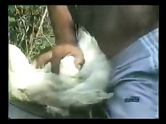 Actrices Porno Zoofilia