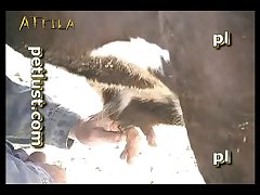 Nuevos Videos De Zoofilia