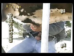Nuevos Videos De Zoofilia