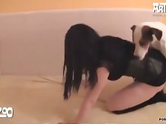 Dog Compilation Fuck