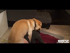 Zoofilia Sex Videos