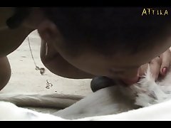 Vudeos Zoofilia