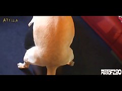 Free Porn Zoofilia