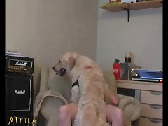 Porno. Zoofilia