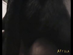Videos De Zoofilia Con Cerdos