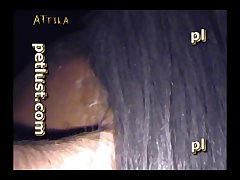Zoofilia Porno Videos