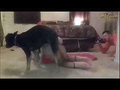Zoofilia Amateur Porn