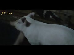 New Zoofilia Videos