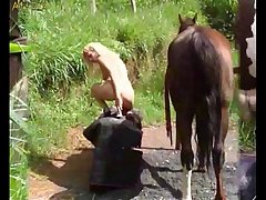 Horse Porn