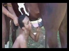 Horse Porn