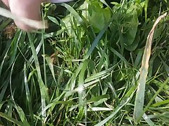Serviporno Zoofilia