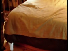 Zoofilia Dog Sex