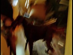 Zoofilia Dog Sex