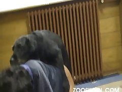Comendo Cu De Cachorro Zoofilia