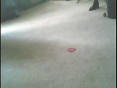 Videos De Zoofilia Mas Reciente