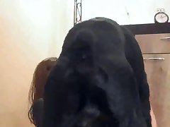 Vidros Porno Zoofilia