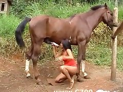 Porno Zoofilia Italiana