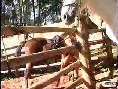 Mujeres Porno Zoofilia