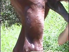 Double Penetration Zoofilia