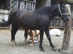 Zoofilia Con Monos Porno