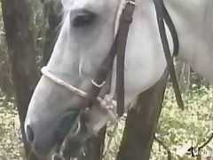 Brasilenas Zoofilia