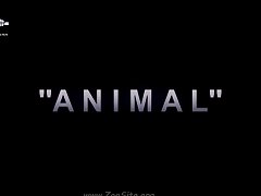 Pelicula Pxxxxxxxxxxxx De Zoofilia
