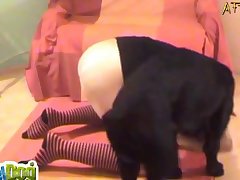 Porno Zoofilia Abotonadas