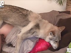Porn Zoofilia Grandes Maa