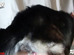 Zoofilia Girl Sex