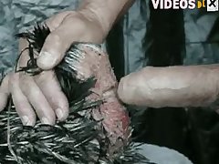 Follada Brutal Zoofilia