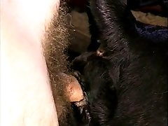 Hard Animal Porno