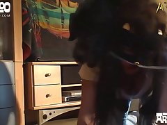 Animal Animasyon Porno