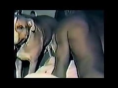 Porno Animal Com Homens