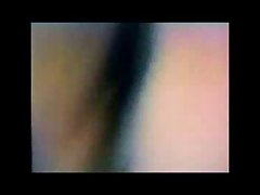 Porno Animal Com Homens