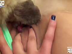 Porno Com Cadela Animal
