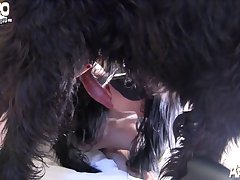 Comendo A Cadela Animal Porno
