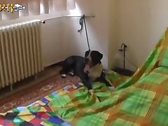 Ver Filme Porno Gratis Com Animal
