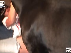 Sex Xxx Boobs Porn