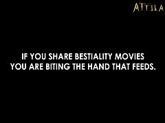 Amazing Tits Porn Xxx