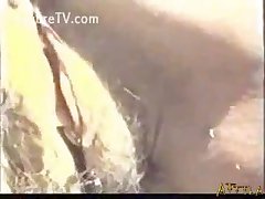Xxx W Porn