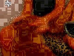 Terror Porn Xxx