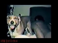 Xxx 27 Ameteur Porn Comics