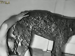 Undressing Sex Gif Porn Xxx