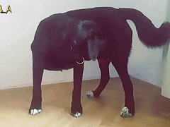 Buko To Sensei No Misaki Xxx Porn