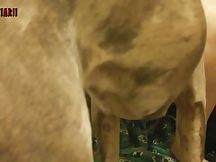 Xxx Porn Video Free Hd