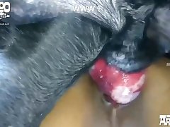 Missionary Female Pov Porn Xxx