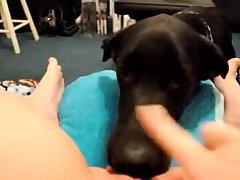 Maria Banks Xxx Porn