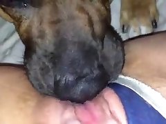Xxx Perv Porn