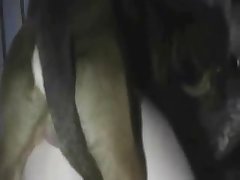 Tyllaa Xxx Porn